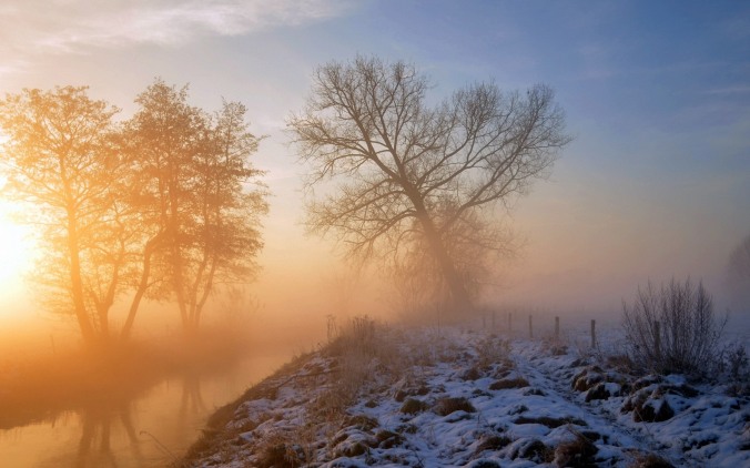 Fog-trees-snow-sunrise-winter-hazy_2560x1600